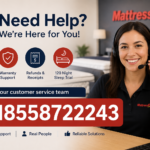 18558722243